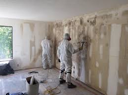 Best Mold Remediation for Healthcare Facilities  in Greendale, WI